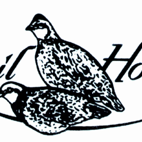 Peter Millar Mens Polo Extra Large Quail Hollow Country Club Golf Performance - Picture 9 of 9